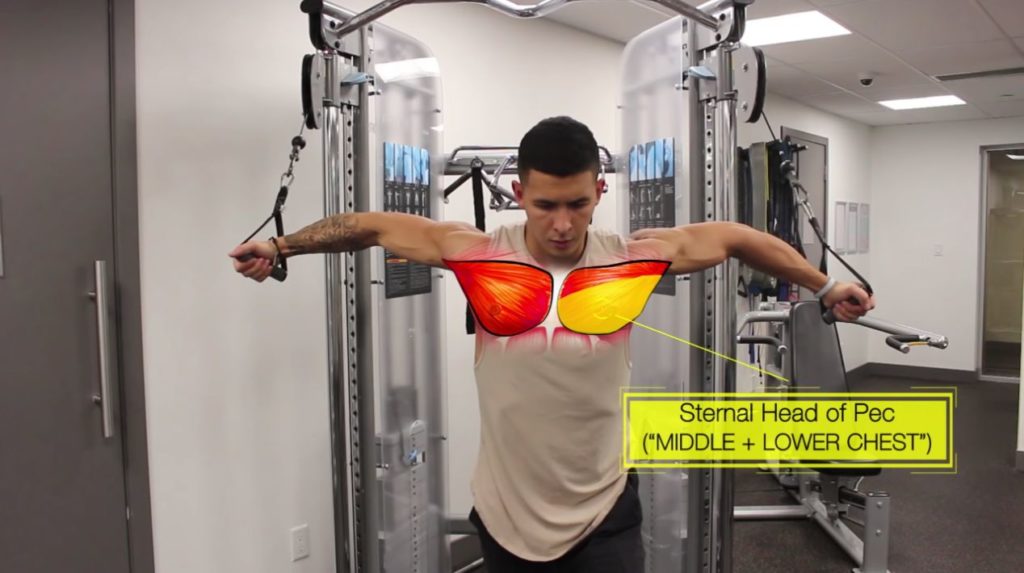 High to low cable crossovers to hit sternal head of pec