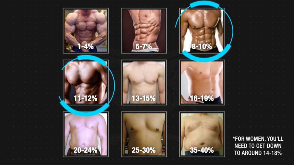 Six pack abs body fat