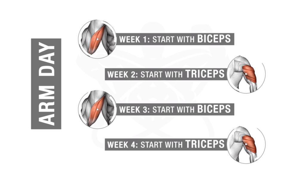Fastest way to build muscle mass in arms