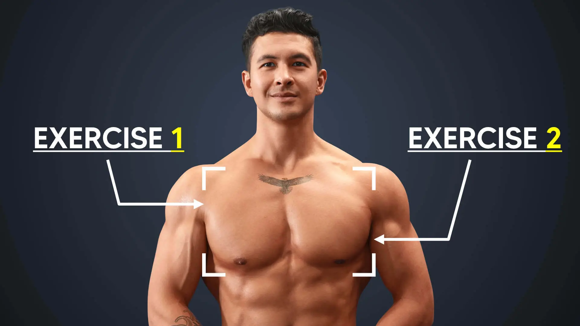 Chest exercises cover image