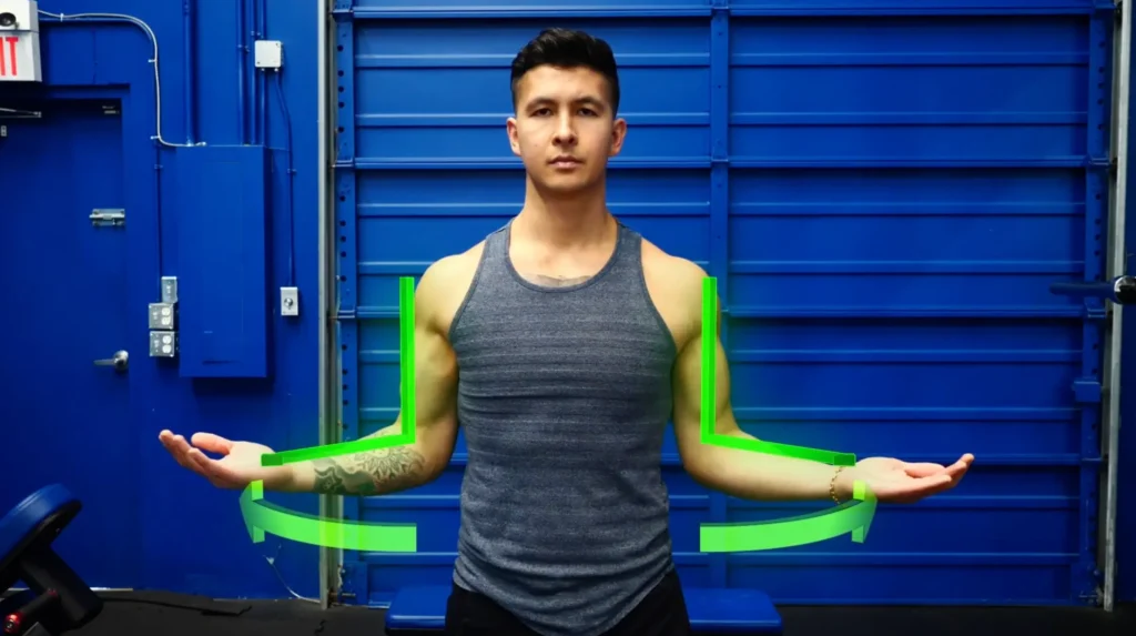 Target the long head in the scapular plane for wider biceps